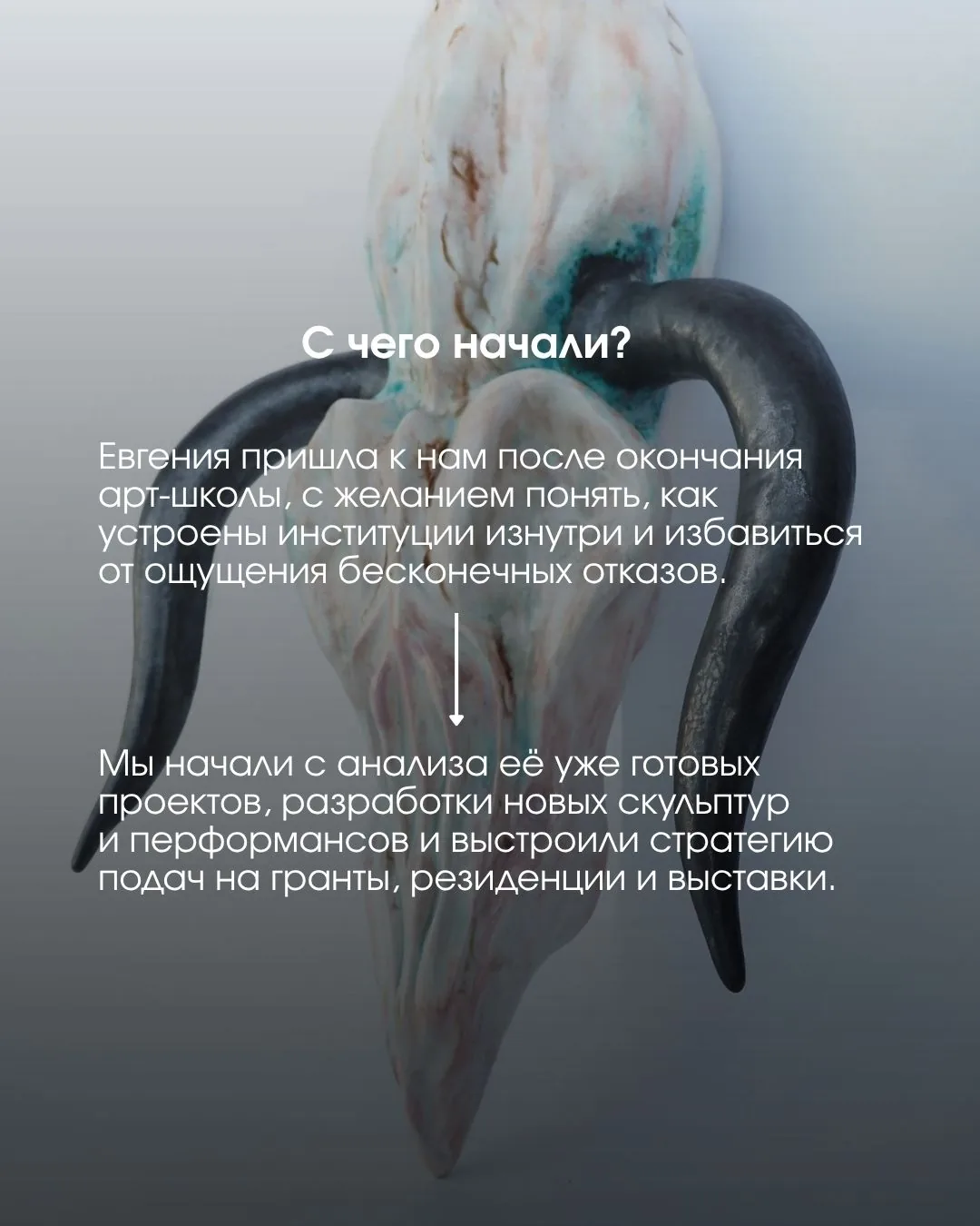 Евгения ван Зонневелд — слайд 3