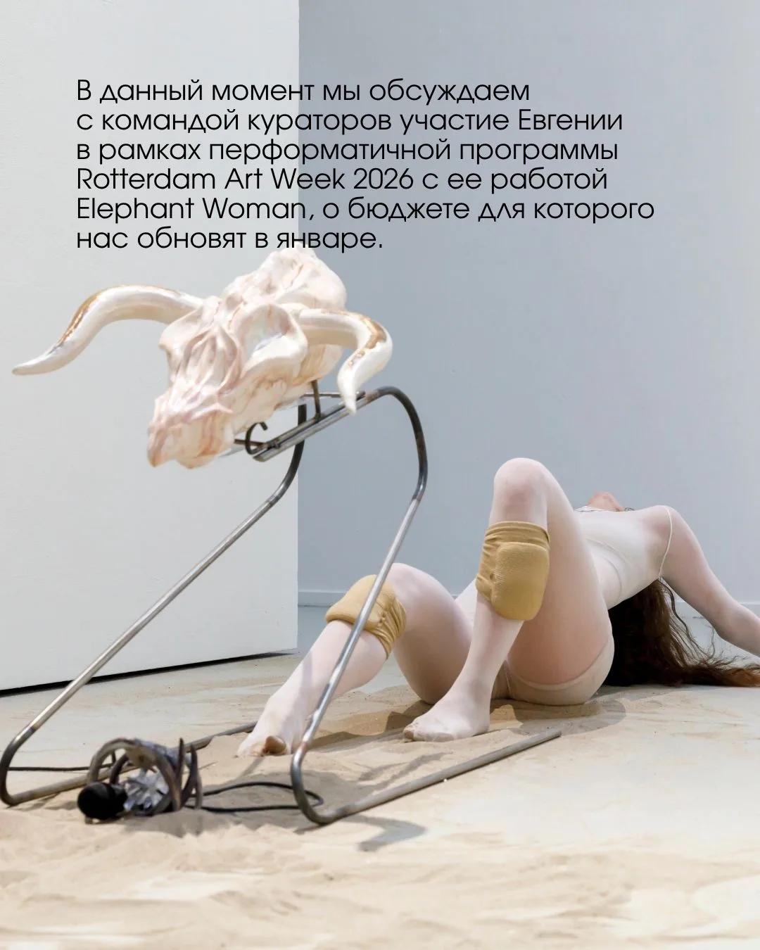 Евгения ван Зонневелд — слайд 8