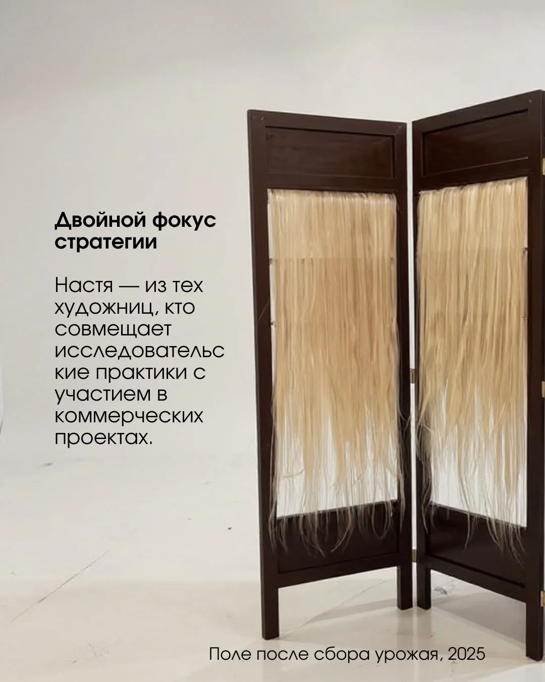 Анастасия Кашуба — слайд 3