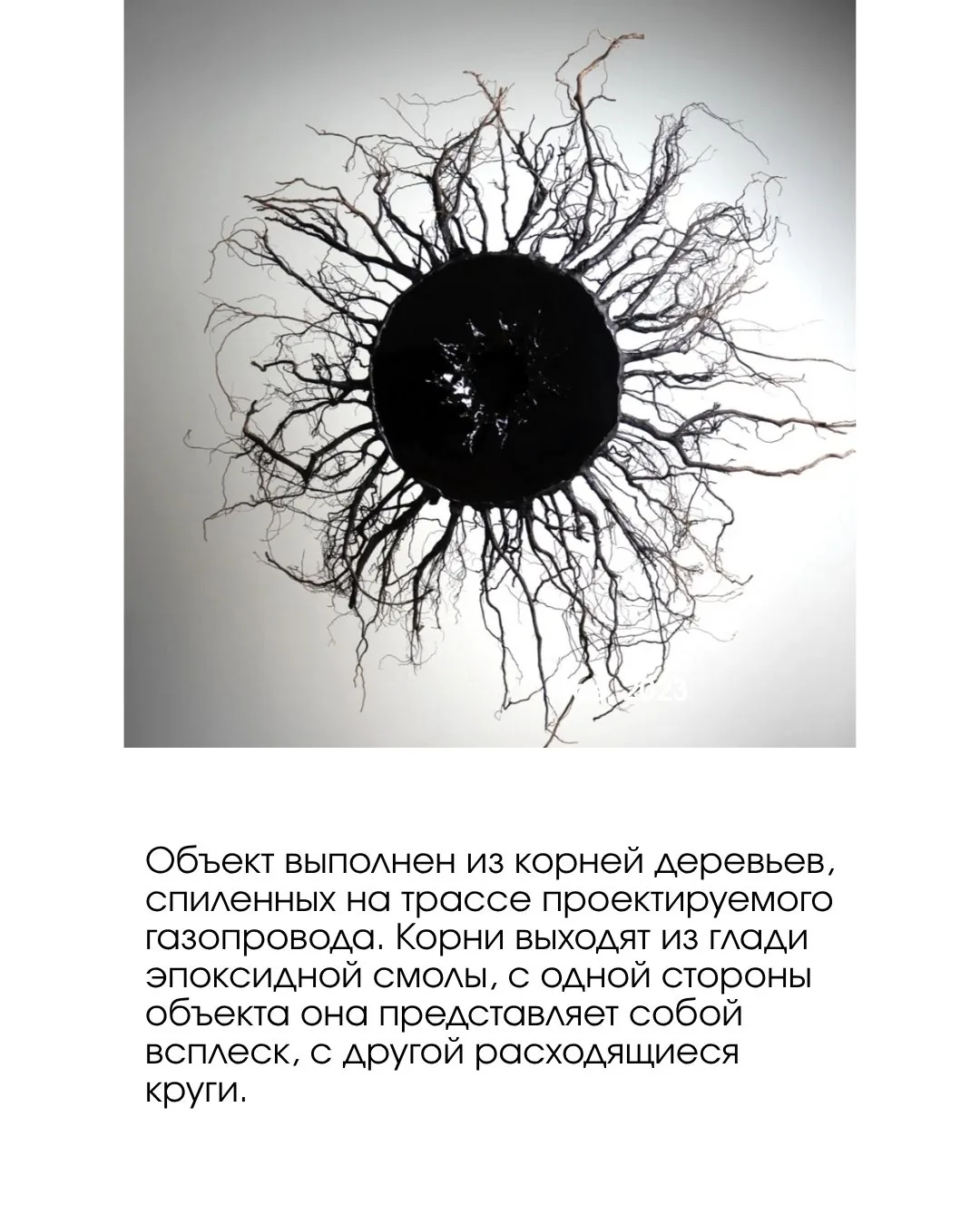 Ольга Щербакова — слайд 7