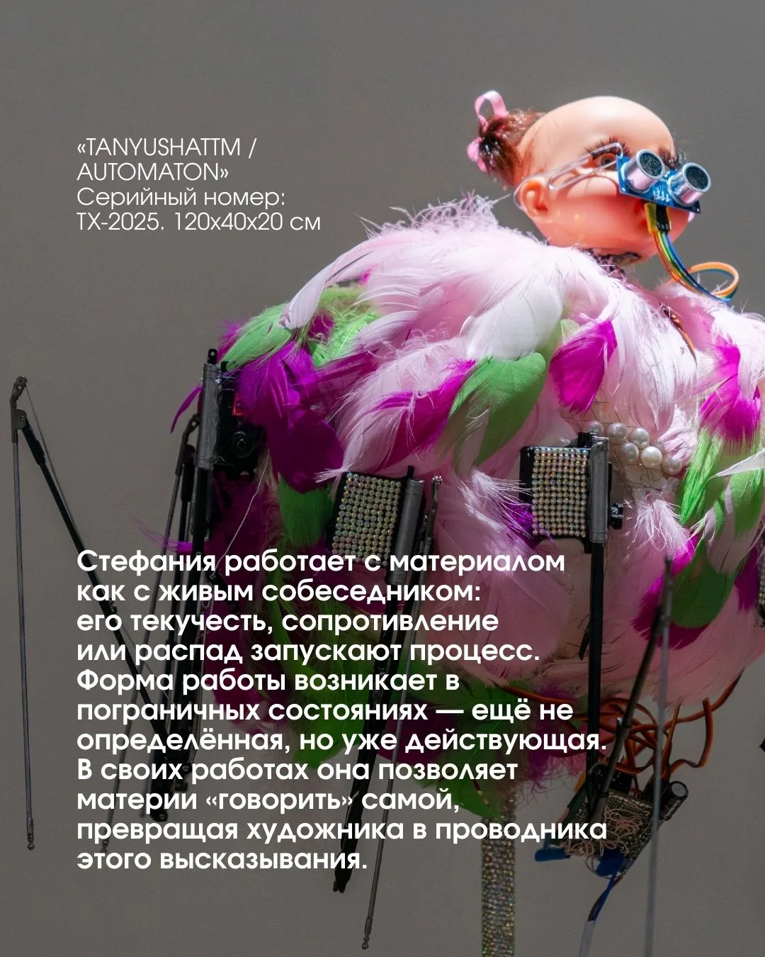 Стефания Каринская-Никитан — слайд 2
