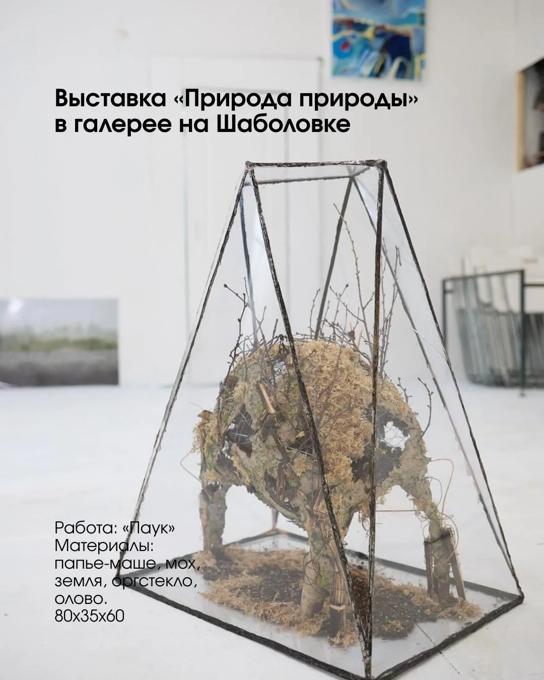 Стефания Каринская-Никитан — слайд 5